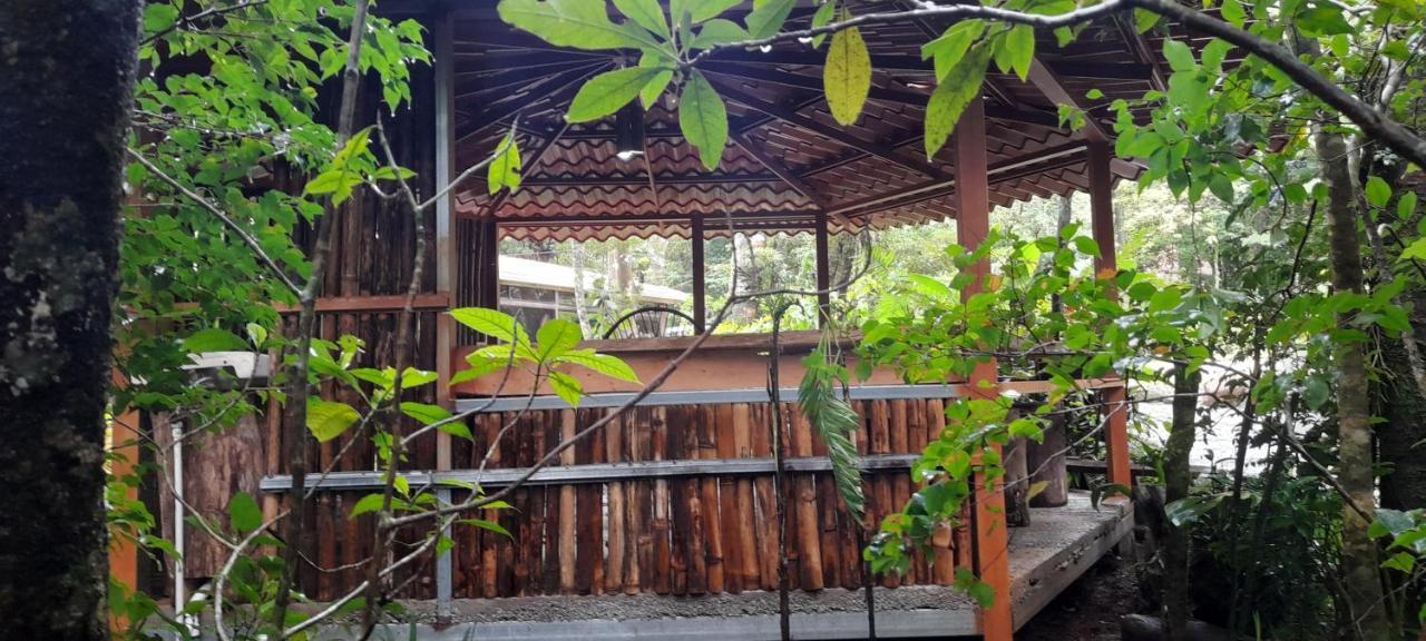 Cabanas La Montana Mountain Lodge Монте-Верде Экстерьер фото
