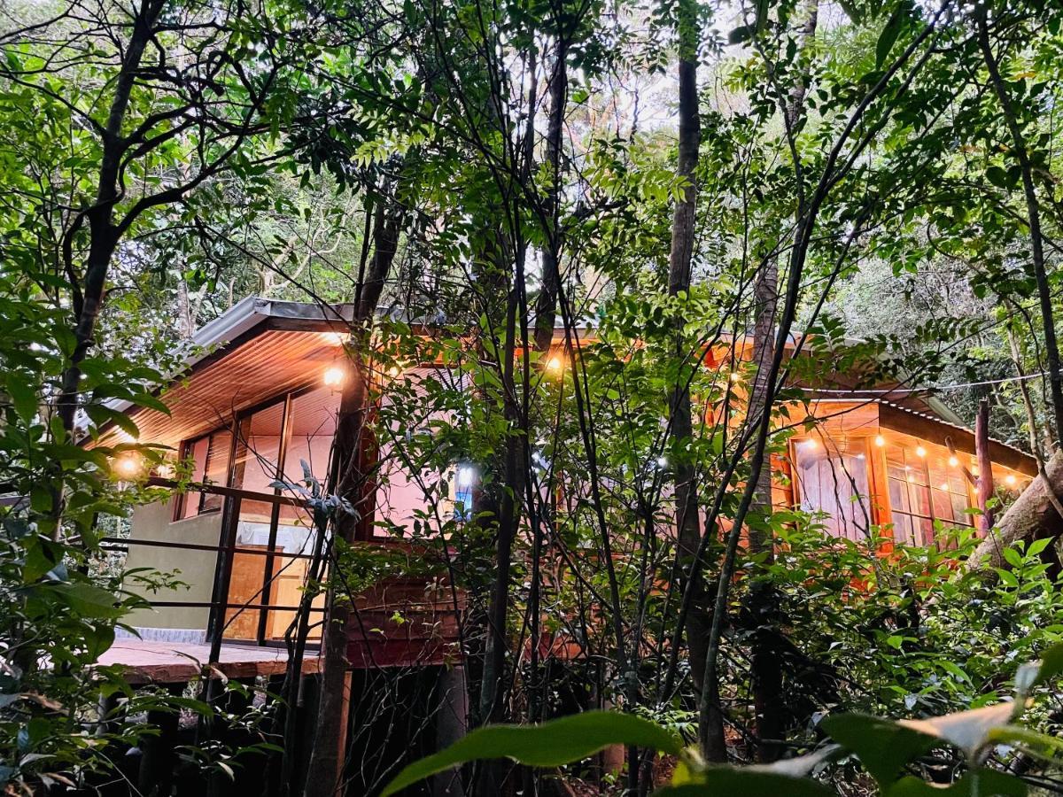 Cabanas La Montana Mountain Lodge Монте-Верде Экстерьер фото